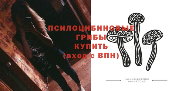стафф Алексин