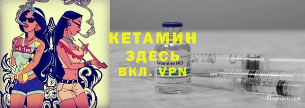 стафф Алексин
