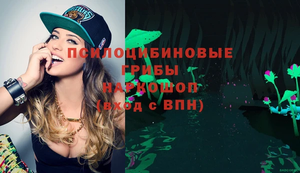 а пвп мука Алзамай