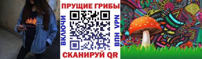 где найти   Снежногорск  Псилоцибиновые грибы GOLDEN TEACHER 