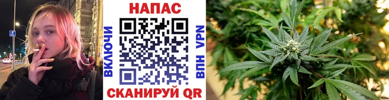 KRAKEN рабочий сайт  Снежногорск  Шишки марихуана White Widow 